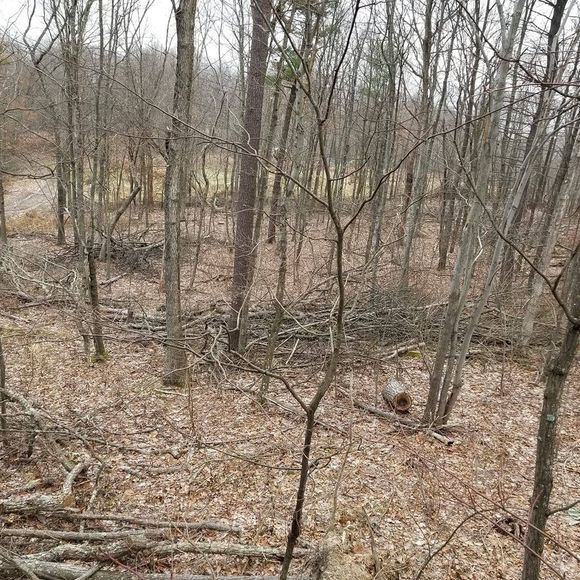 Meet your Posher, Ricky - Picture 1 of 1